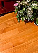 Beautiful Discounted Hardwood Flooring